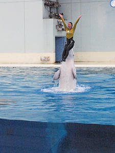 20110630_570shuusei.jpg
