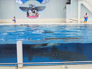 20110630_639shuusei.jpg