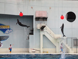 20110630_648shuusei.jpg