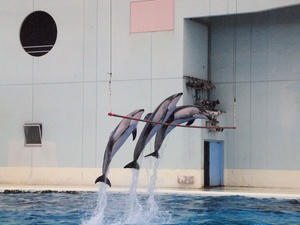 20110630_654shuusei.jpg