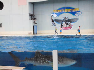 20110630_672shuusei.jpg