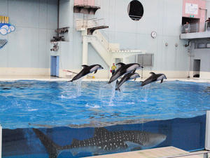 20110630_1081shuusei.jpg