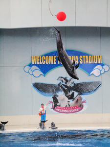 20110630_1083shuusei.jpg