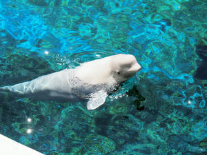 20110630_929shuusei.jpg