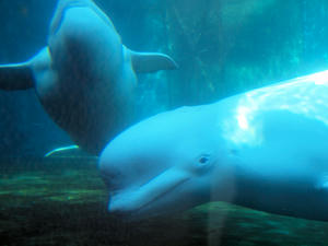20110630_1272shuusei.jpg