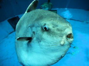 20110630_1149shuusei.jpg