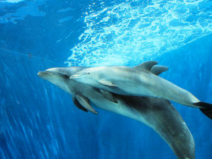 20110630_1140shuusei.jpg