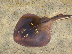 20110630_1172shuusei.jpg