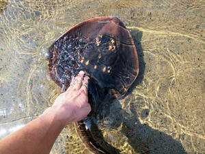 20110630_1173shuusei.jpg