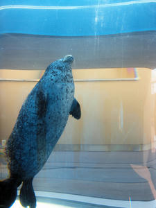 20110630_1209shuusei.jpg
