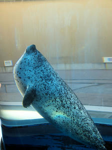 20110630_1217shuusei.jpg