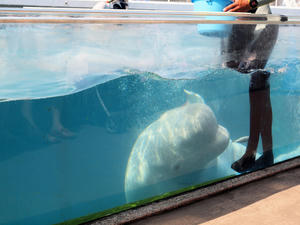 20110630_1198shuusei.jpg