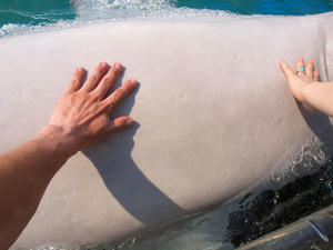20110630_1200shuusei.jpg