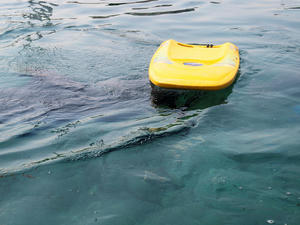 20110630_1179shuusei.jpg