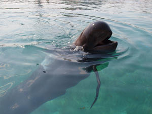 20110630_1185shuusei.jpg