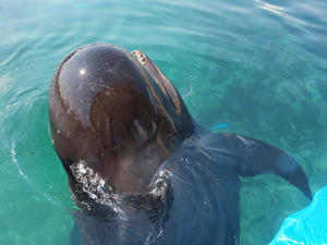 20110630_1186shuusei.jpg