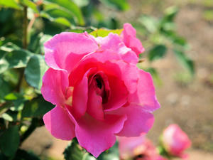 20110630_1289shuusei.jpg