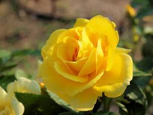 20110630_1290shuusei.jpg