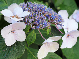 20110630_199shuusei.jpg