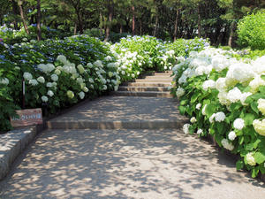 20110630_206shuusei.jpg