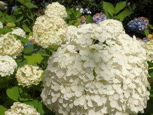 20110630_209shuusei.jpg