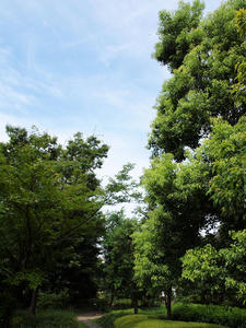 20110805_2152shuusei.jpg