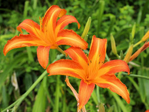 20110805_2172shuusei.jpg