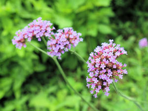 20110805_2225shuusei.jpg