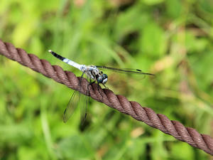 20110805_2171shuusei.jpg