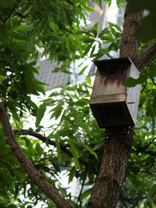 20110805_2168shuusei.jpg