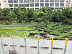 20110805_2185shuusei.jpg