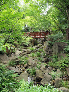 20110805_2236shuusei.jpg