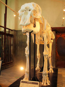 d1595891.jpg