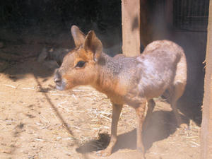 116shuusei.jpg