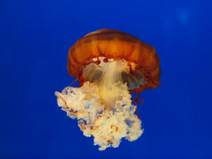 20110805_846shuusei.jpg