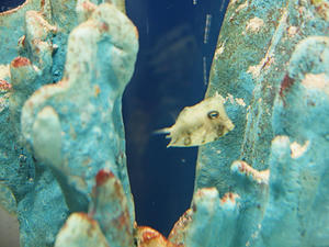 20110805_859shuusei.jpg