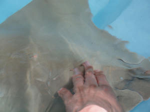 20110805_905shuusei.jpg
