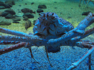 20110805_793shuusei.jpg