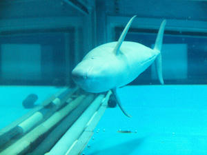20110805_692shuusei.jpg