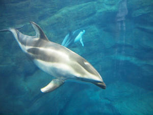 20110805_581shuusei.jpg
