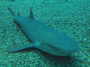 20110805_784shuusei.jpg