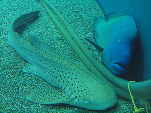 20110805_786shuusei.jpg