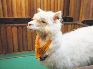 20110805_1094shuusei.jpg