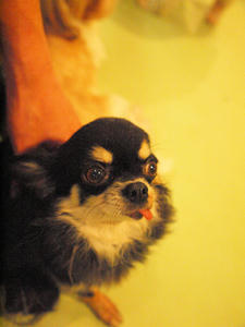 20110805_1103shuusei.jpg