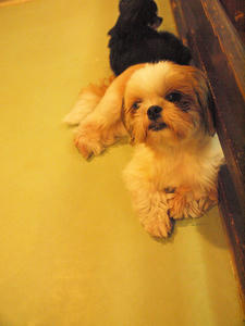 1107shuusei.jpg