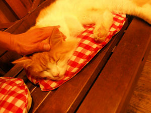 1043shuusei.jpg