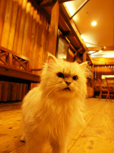1042shuusei.jpg