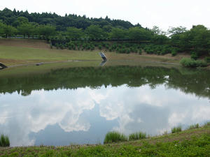 20110815_186shuusei.jpg