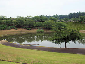 20110815_158shuusei.jpg