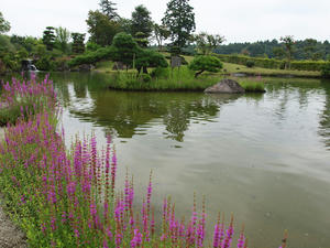 20110815_25shuusei.jpg